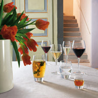 Atelier Verre À Liqueur 7.5 cl Lot 6 Pcs